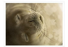 Attractions and things to do